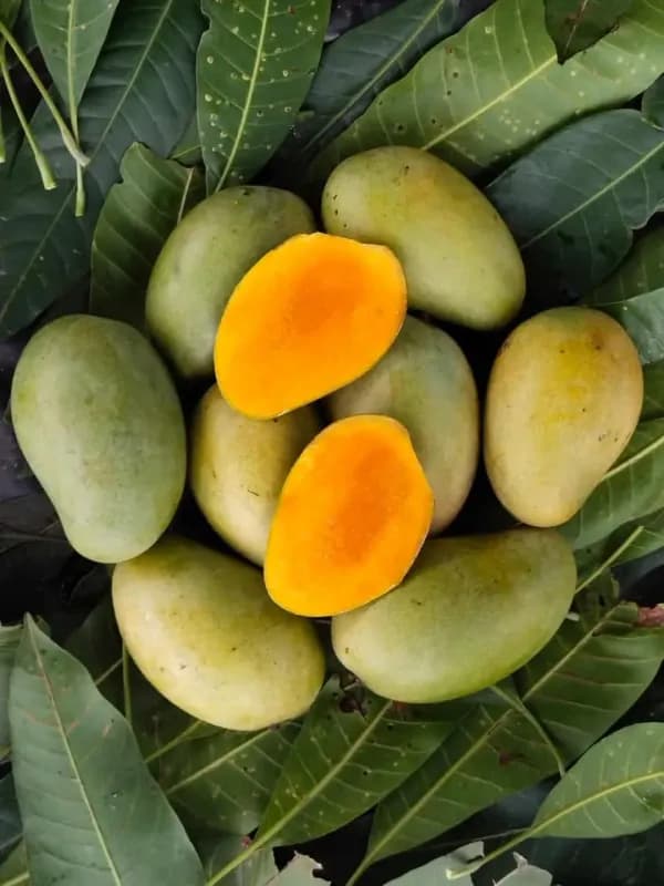 Mangoes (Himsagar)