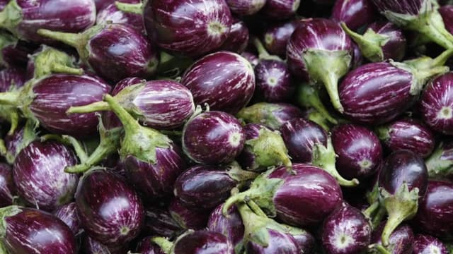 Eggplant